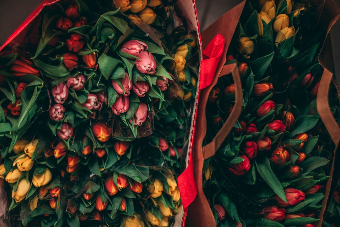 Gebonden bossen tulpen in rood, roze en geel